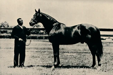 Cheval de course pur-sang, Man O War