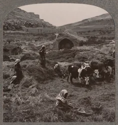 Battage du grain près du puits de Jacob, vers 1900