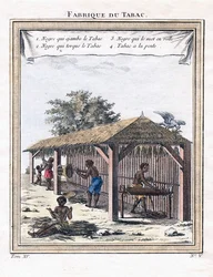 Usine de tabac, 1780