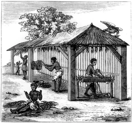 Préparation du tabac, 1873