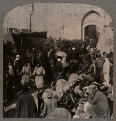 Circulation près de la porte Saint-Étienne, Jérusalem, vers 1900