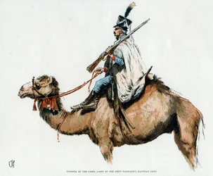 Cavalier du corps de chameaux de la première armée égyptienne de Napoléon, années 1790, 20e siècle