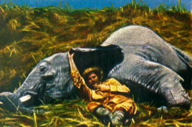 Chasseur de trophées avec éléphant mort, vers 1928