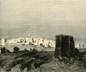 Tyr, 1890