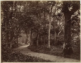 Paysage sans titre, début des années 1860