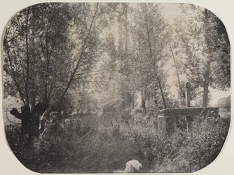 Paysage sans titre avec chien, vers 1910