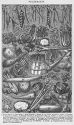 Légumes, 1907