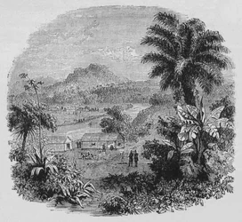 Vue à Cayenne, vers 1880
