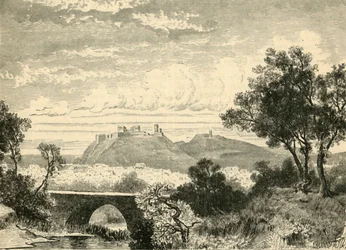 Vue d