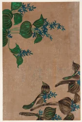 Plantes aquatiques avec fleurs bleues, période Edo, 1615-1868