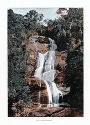 Cascade à Tijuca, Rio de Janeiro, Brésil, XIXe siècle