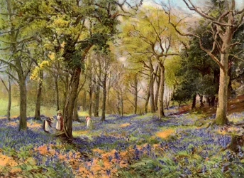 Jacinthes sauvages dans un bosquet du Surrey, 1906
