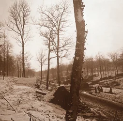 Hiver, Genicourt, nord de la France, vers 1914-1918