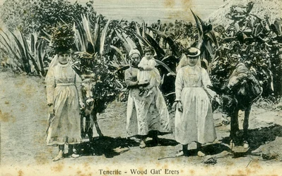 Ramasseurs de bois, Tenerife, Îles Canaries, début du 20e siècle