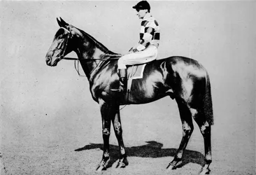 Bobineuse de laine, 1904-1928
