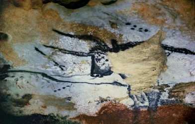 Peinture rupestre d