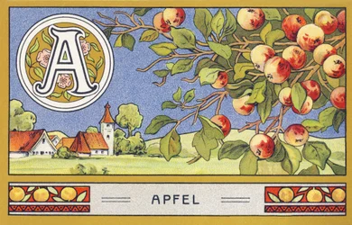 A : Apfel - Alphabet Palmin. Série de chromolithographies éditées par H. Schlinck & Cie, Hambourg, s. d. Publicité pour Palmin feinstes Cocosfett. Dimensions : 7 x 11 cm