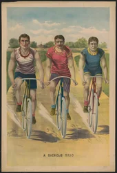 Un trio de vélos