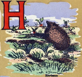 Un hérisson. Alphabet illustré. Imageries réunies à Jarville-Nancy, début du 20ème siècle. Dim: 40 x 29 cm