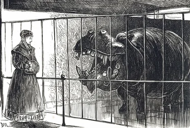 Une femme aux jardins de la Société zoologique de Regent