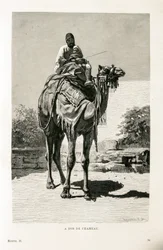 Un Égyptien et son enfant sur un chameau - Illustration de l