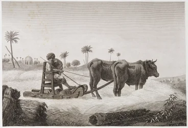 Machine à battre, Égypte, vers 1798