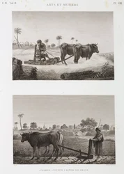 Agriculture arable, machine à battre et charrue, Égypte, vers 1798