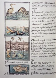 Chasse aux oiseaux du lac, page du Codex Florentin, version bilingue en espagnol et nahuatl, Histoire générale des choses de la Nouvelle-Espagne, par le missionnaire espagnol Fray Bernardino de Sahagún (1499-1590). Civilisation aztèque