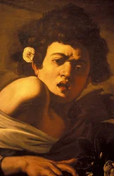 Garçon mordu par un lézard (détail)