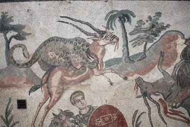 Détail de la mosaïque de la grande chasse. Un léopard attaquant une gazelle. IIIe - IVe siècle. Villa romaine du Casale, Sicile. Site UNESCO.