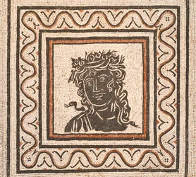 Mosaïque de sol avec l