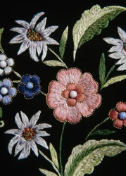Broderie florale sur costume Walser, Gressoney, Vallée d