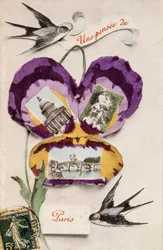 Carte de vœux française avec des éléments floraux
