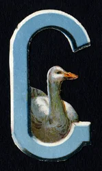 G comme Oie. Découpis de coléoptères sur le thème des animaux. Gravure. Série de 26 chromolithographies gaufrées d