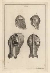 Casque 1,2, et chanfrein en fer 3,4 appartenant à Guy, Comte de Warwick