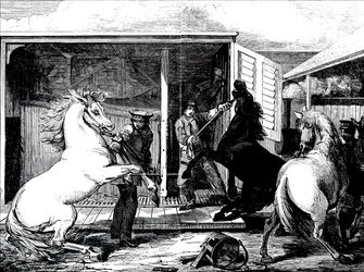 Chevaux à la gare de Gloucester