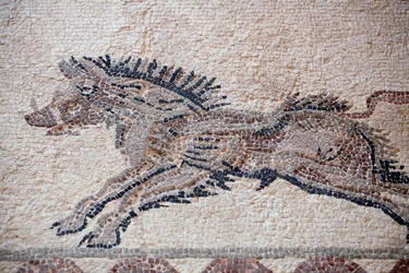 Scène de chasse : Un sanglier - Mosaïques de Paphos, Maison de Dionysos - Fin du IIe siècle après J.-C. - Chypre