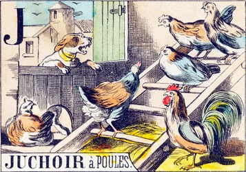 J Juchoir à poules - "Alphabet de la ferme" fin du 19e siècle (gravure)