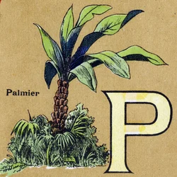 Lettre P comme palmier. Alphabet illustré. Imageries réunies à Jarville-Nancy, début du 20ème siècle. Dim: 40 x 29 cm