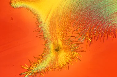 Micrographies (Lumière) Silicate de sodium, micrographie en lumière