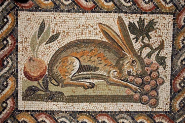 Mosaïque représentant un lièvre avec un regard espion broutant une grappe de raisins (2e moitié du IIe siècle ap. J.-C.) / in situ à El Jem (Antique Thysdrus) / Tunisie