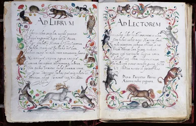 Pages de l