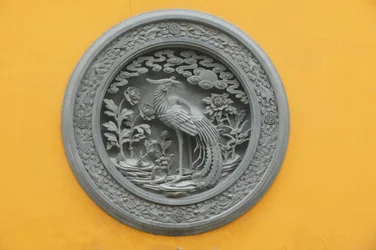 Phénix, Shanghai, Chine