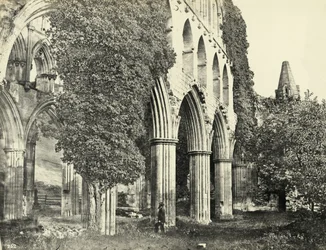 Abbaye de Rievaulx, North Yorkshire, Royaume-Uni