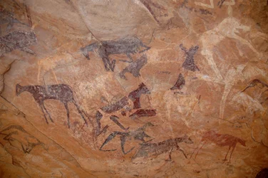 Art rupestre, Préhistoire : Peinture rupestre de bovins, un genou dans un abri orné dans le massif de l