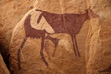 Art rupestre, Préhistoire : Peinture rupestre d