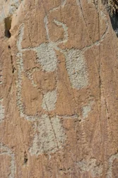 Gravures rupestres de la Vallée de Fontanalba / corniformes emboîtés ou bovins / Parc national du Mercantour / Tende / Alpes-Maritimes / France