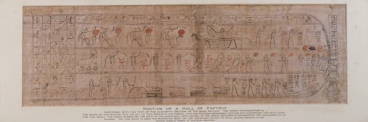 Section de papyrus inscrite de hiéroglyphes cursifs avec le texte de la onzième section du Livre d