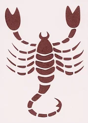 Signe du zodiaque : le Scorpion