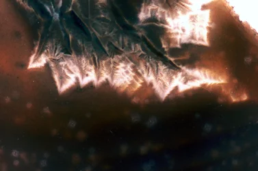 Scorie